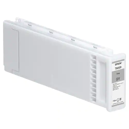 Epson Bläckpatron C13T800900 Grå