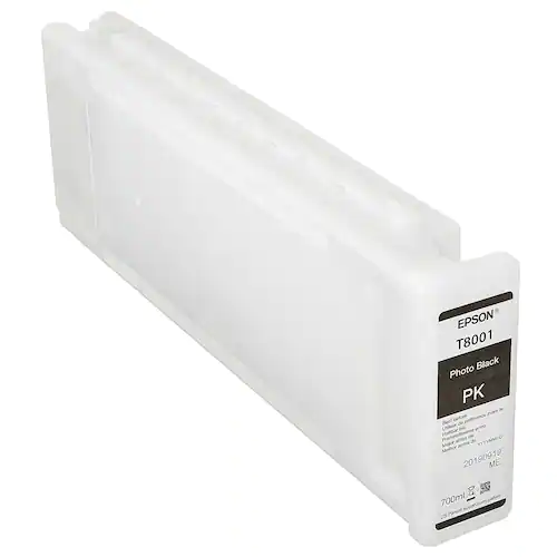 Epson Bläckpatron C13T800100 Svart