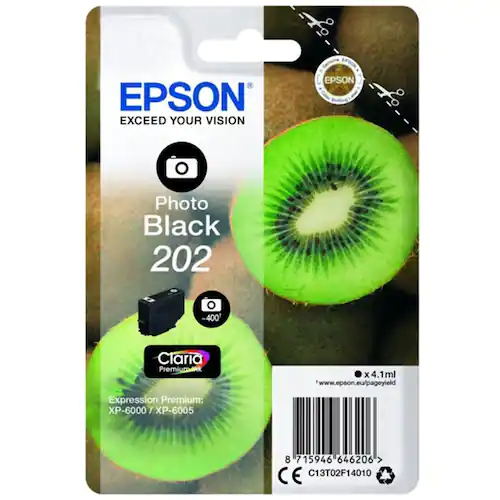 Epson Bläckpatron T202 Photo Black