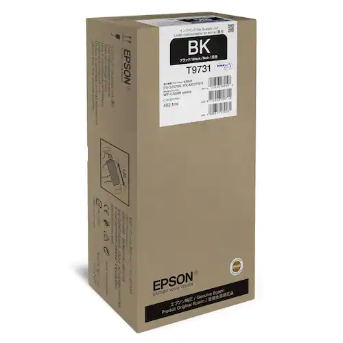 Epson Bläckpatron C13T973100 Svart