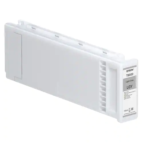 Epson Bläckpatron C13T800000 Ljusgrå