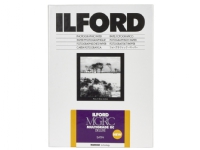 1x 10 Ilford MG RC DL 25M 24x30